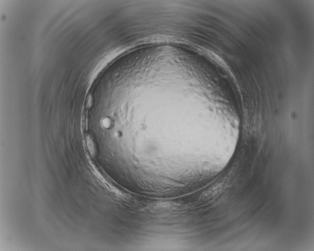 X0000056030847200509021820