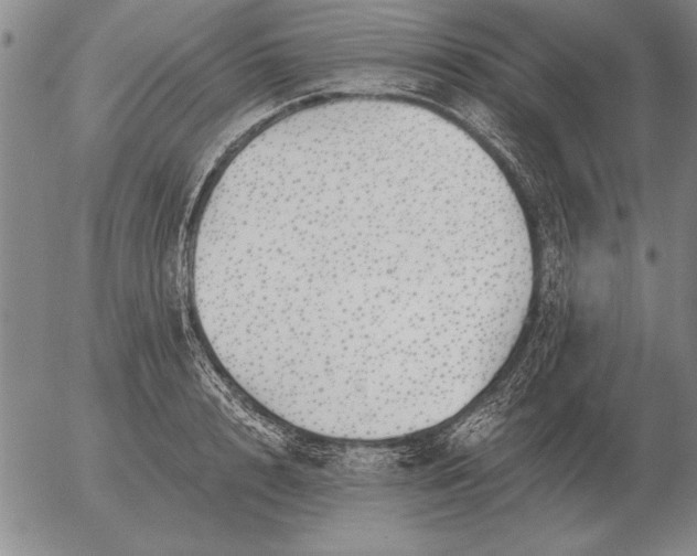 X0000056030848200509021820