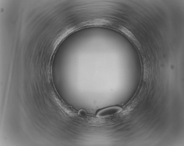 X0000056030850200509021820