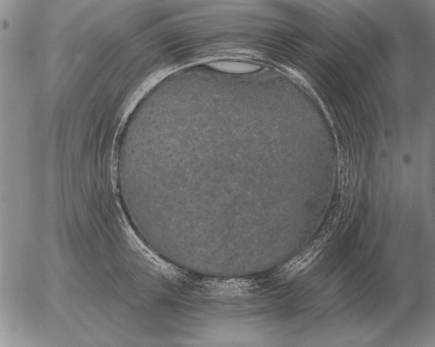 X0000056030851200509021820