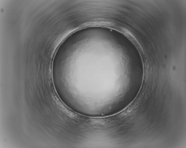 X0000056030852200509021820