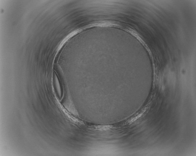 X0000056030853200509021820