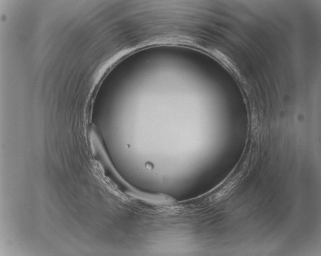 X0000056030854200509021820