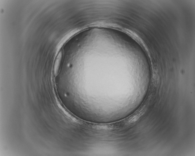 X0000056030855200509021820