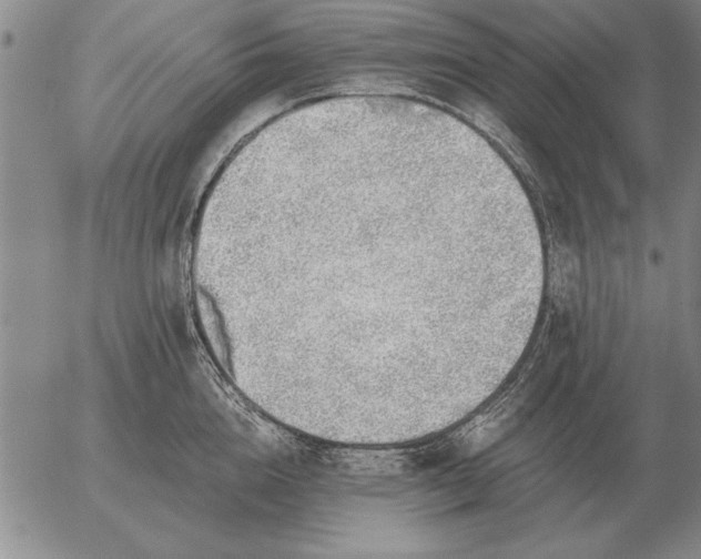 X0000056030856200509021820