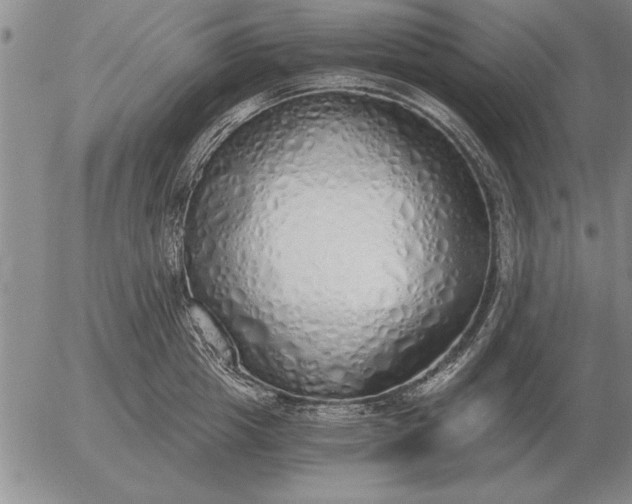 X0000056030857200509021820