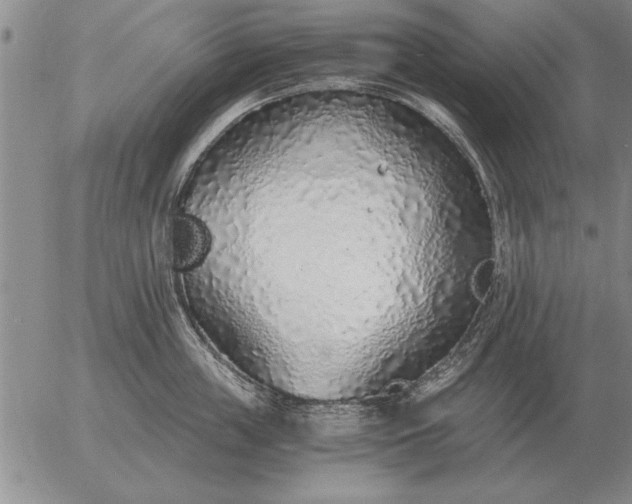 X0000056030859200509021820