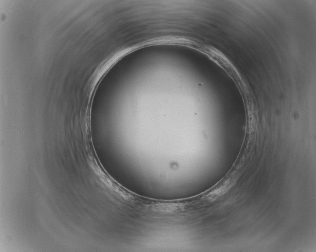 X0000056030860200509021820