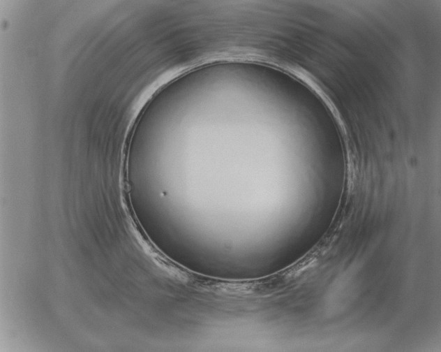 X0000056030861200509021820