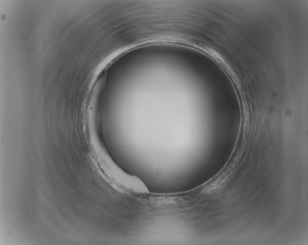 X0000056030862200509021820