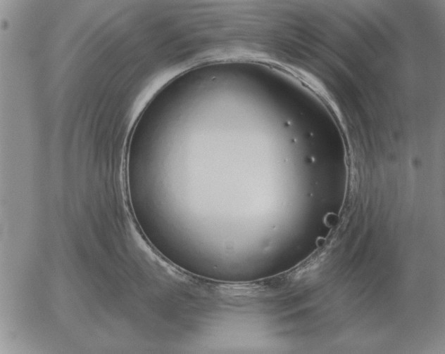 X0000056030863200509021820