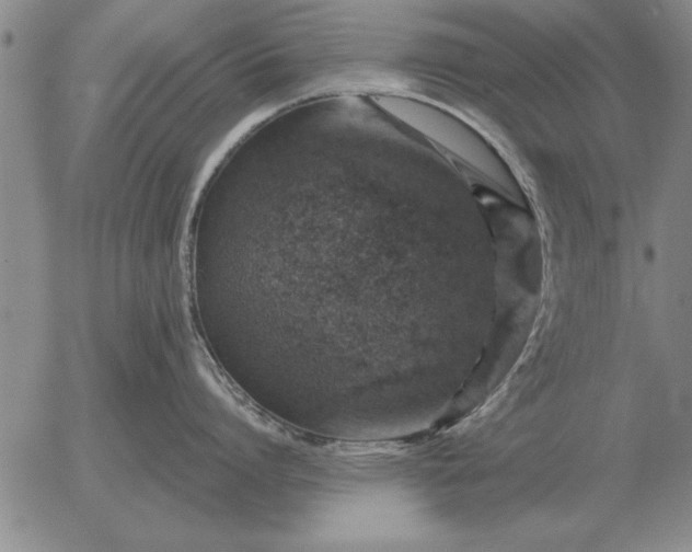 X0000056030864200509021820