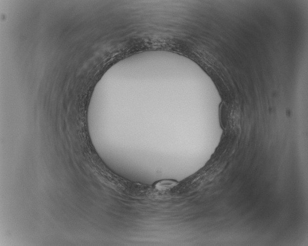 X0000056030865200509021819