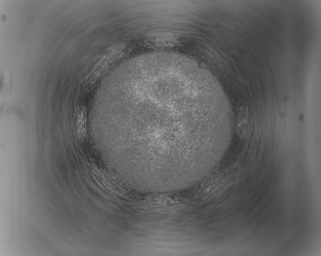 X0000056030866200509021819