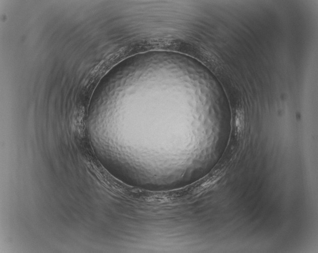 X0000056030867200509021819