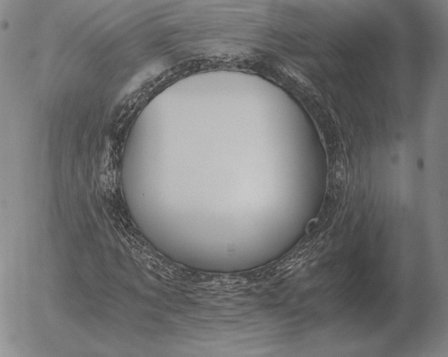 X0000056030869200509021819