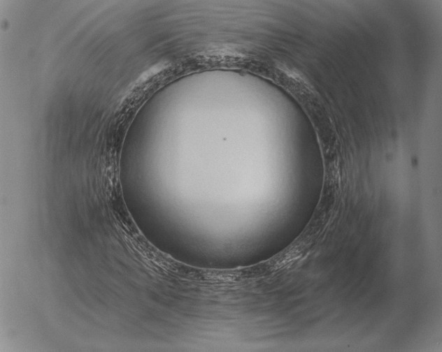 X0000056030870200509021819