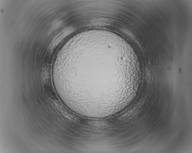 X0000056030874200509021819