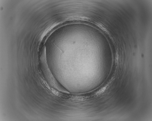 X0000056030877200509021819