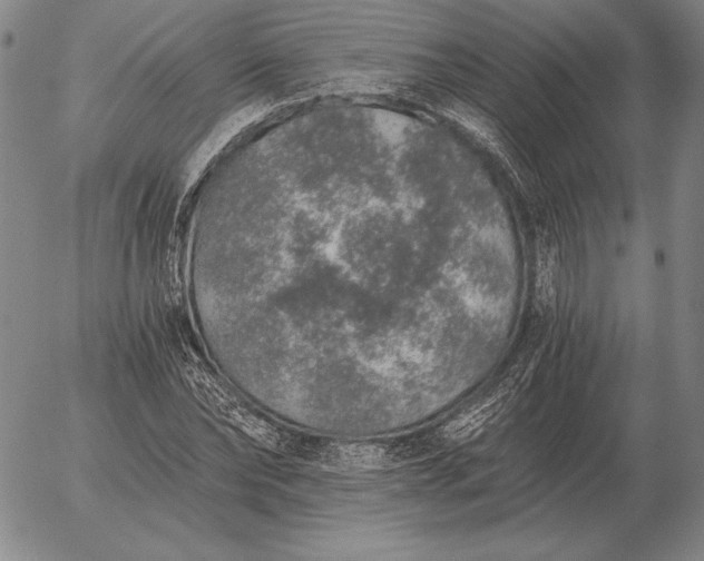 X0000056030878200509021819