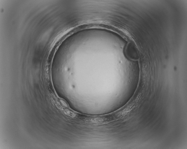 X0000056030879200509021819