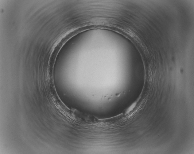 X0000056030880200509021819