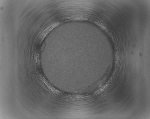 X0000056030881200509021819