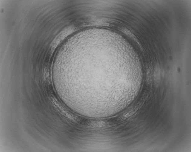 X0000056030882200509021819