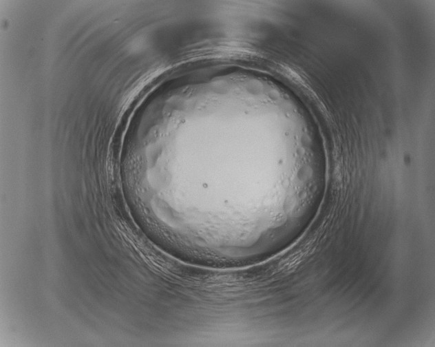 X0000056030883200509021819