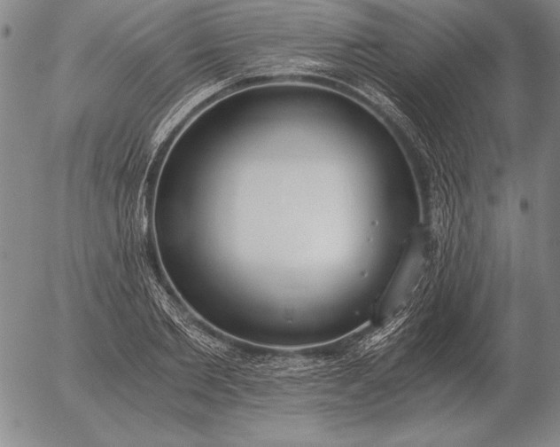 X0000056030885200509021819