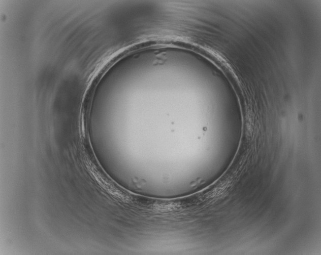 X0000056030887200509021819