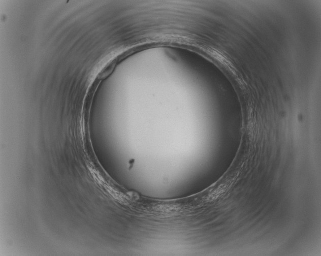 X0000056030888200509021819