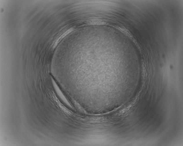 X0000056030889200509021819