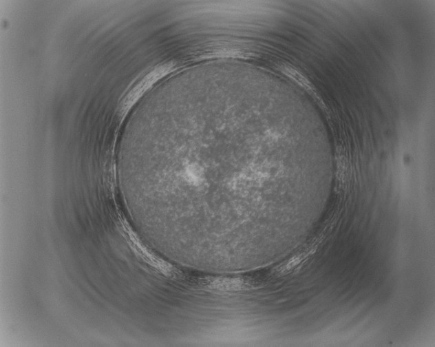 X0000056030890200509021819