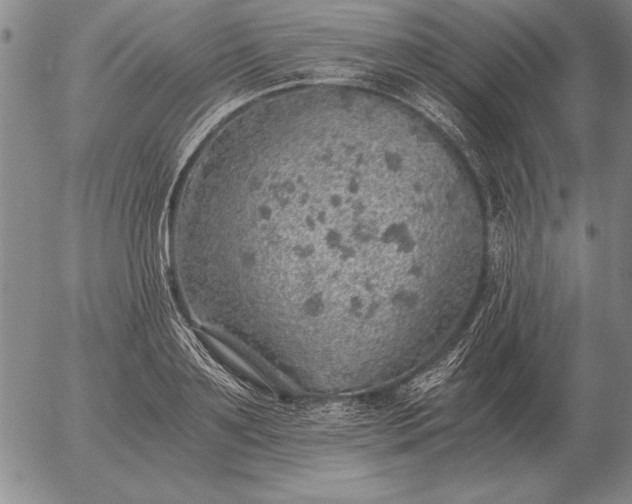 X0000056030891200509021819