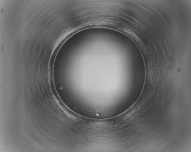 X0000056030894200509021819