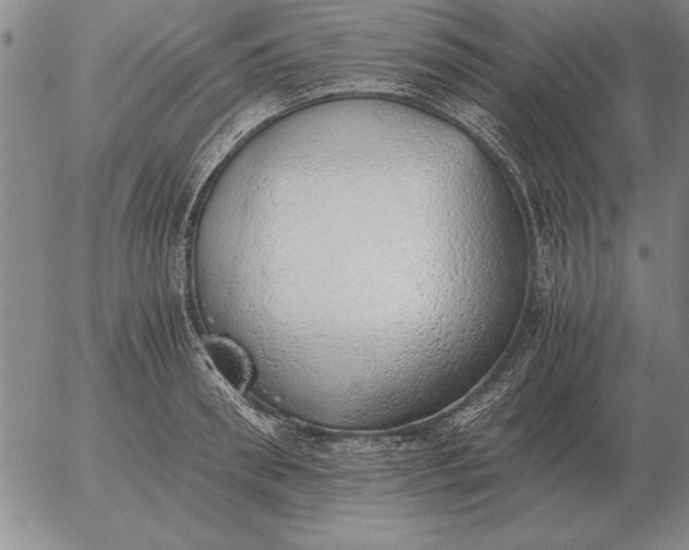 X0000056030898200509021819