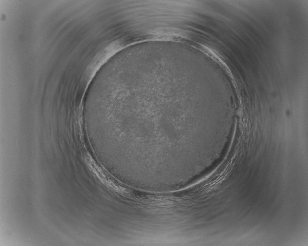 X0000056030899200509021819