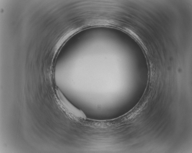 X0000056030901200509021819