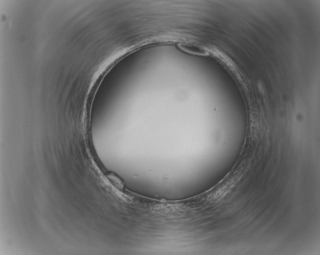 X0000056030902200509021818