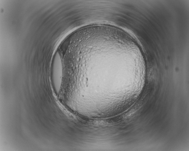 X0000056030903200509021818