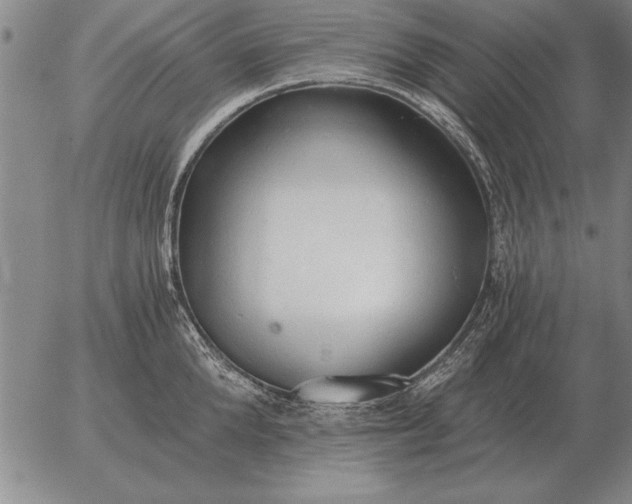 X0000056030904200509021818