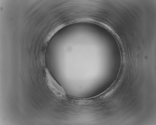 X0000056030905200509021818