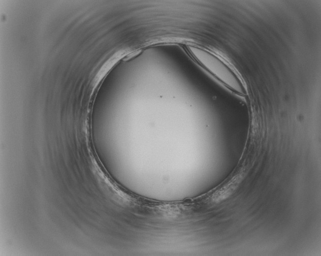 X0000056030906200509021818