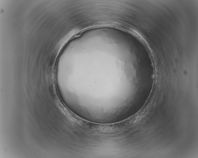 X0000056030907200509021818