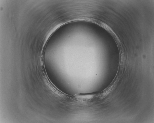 X0000056030908200509021818