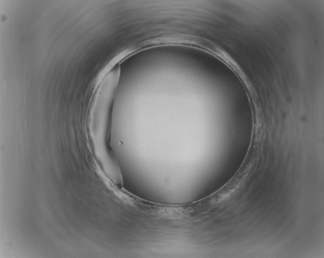 X0000056030909200509021818