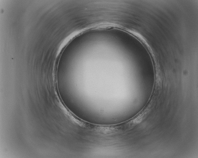 X0000056030910200509021818