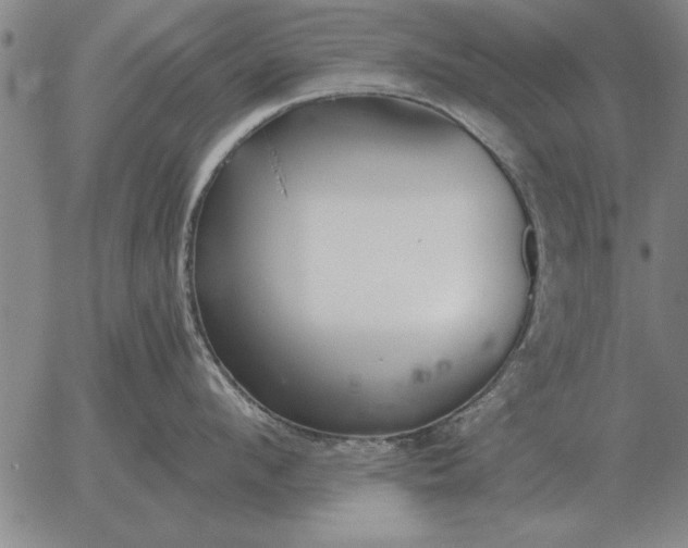 X0000056030912200509021818