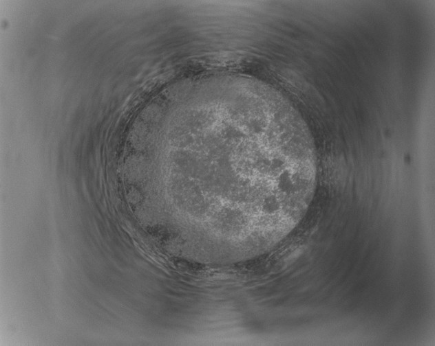 X0000056030913200509021818